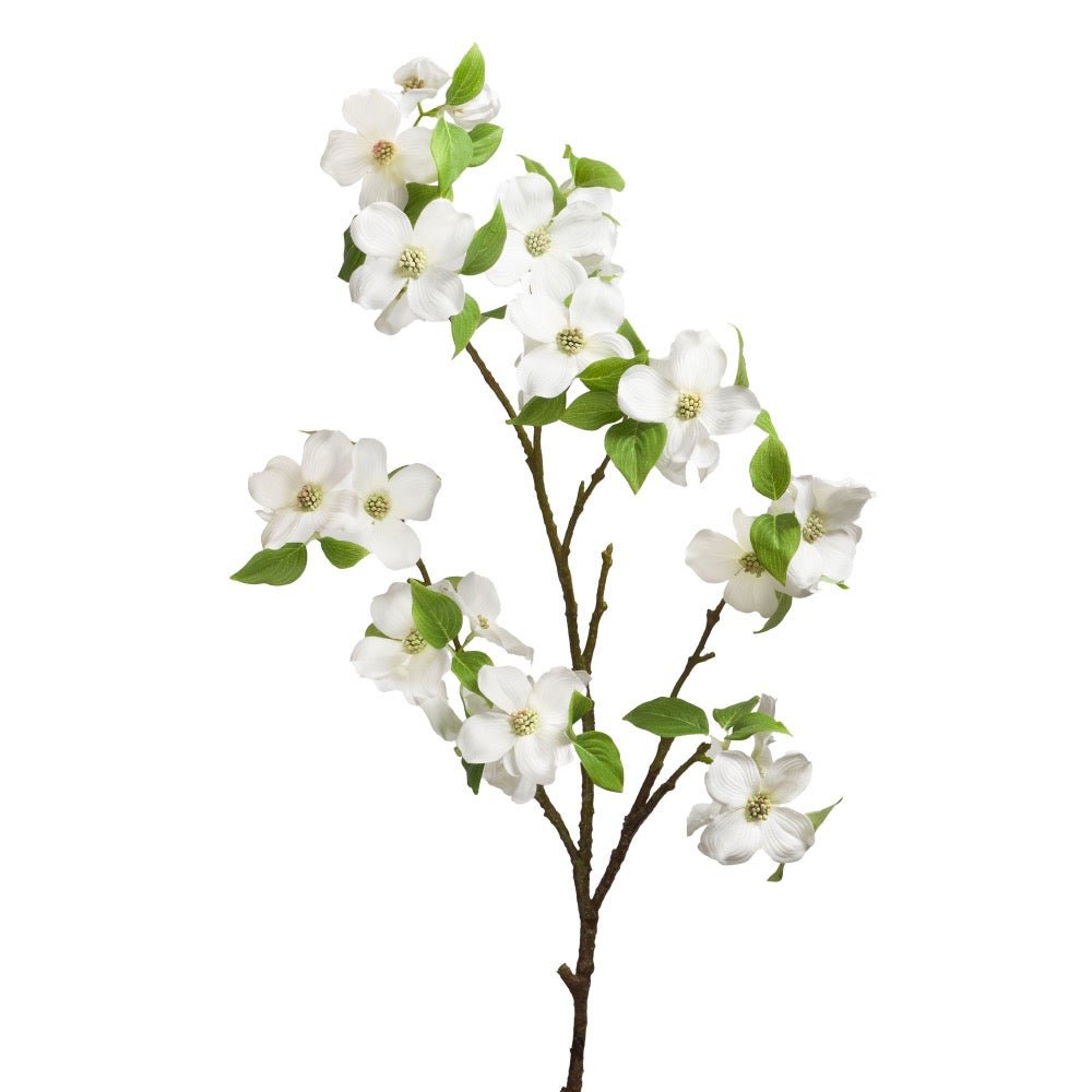 Rama Flor de Cornejo - pino_y_jacaranda