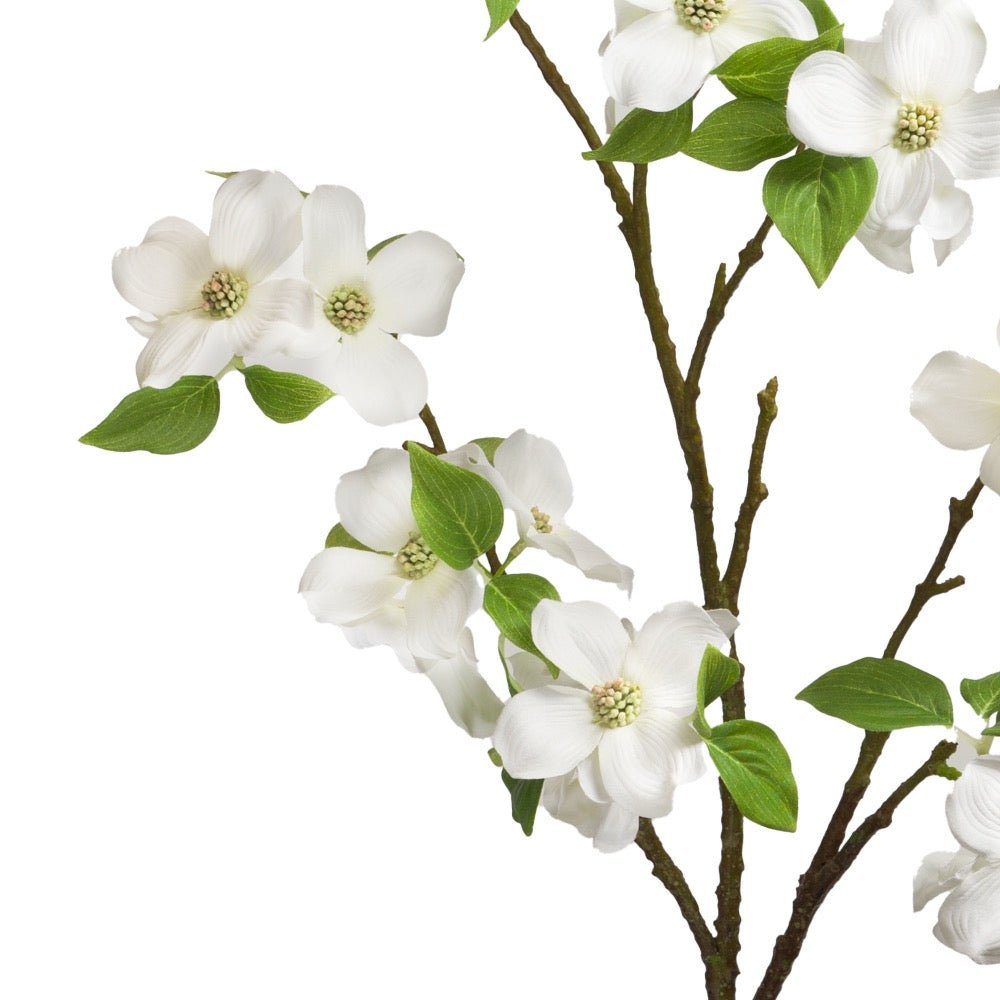 Rama Flor de Cornejo - pino_y_jacaranda