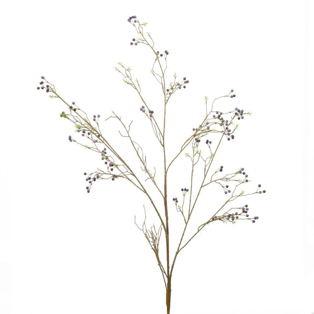 Rama Wild Rose - pino_y_jacaranda