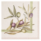 Set de 2 Paños de Cocina Verde Olivo - pino_y_jacaranda