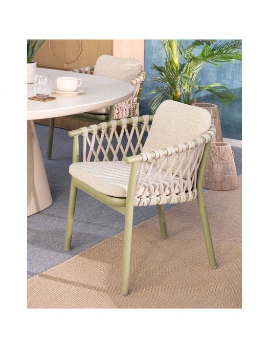 Silla Bélgica - pino_y_jacaranda