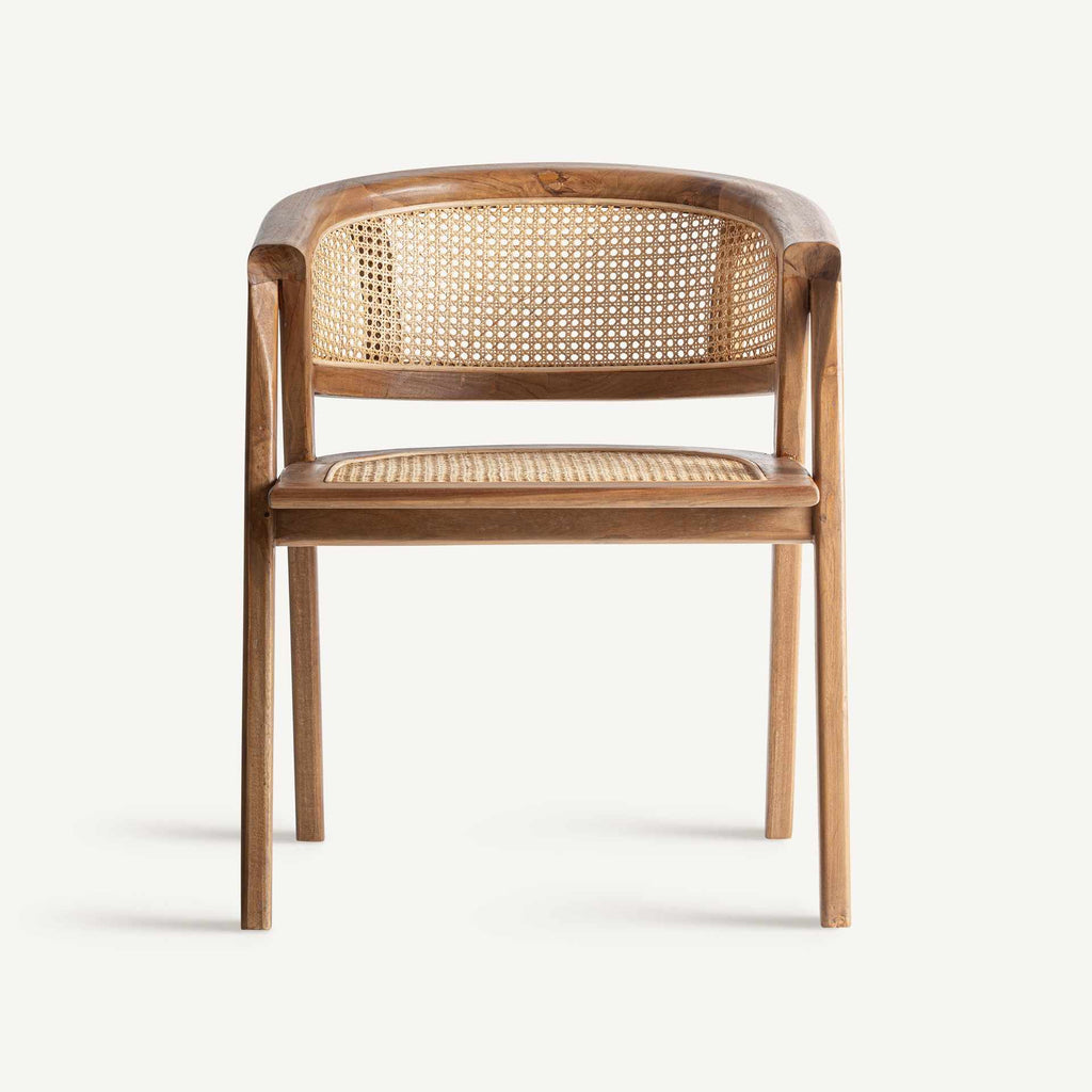 Silla Raíz - pino_y_jacaranda