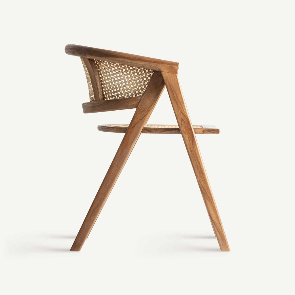 Silla Raíz - pino_y_jacaranda