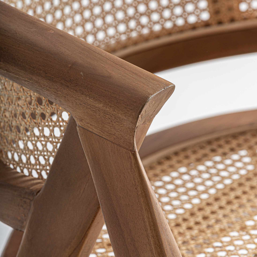 Silla Raíz - pino_y_jacaranda