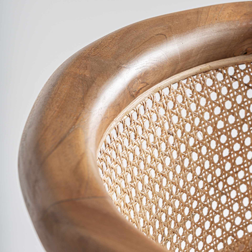 Silla Raíz - pino_y_jacaranda