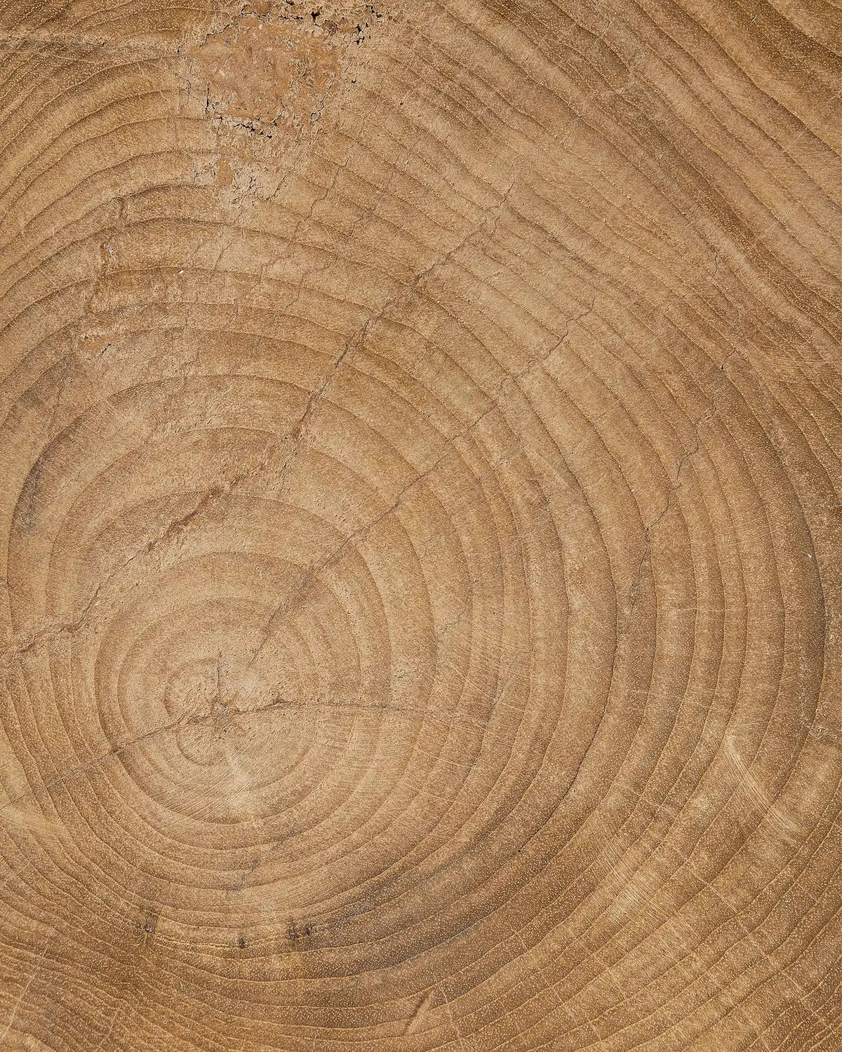 Taburete de teca Diavolo