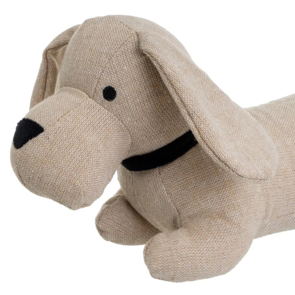 Tope de Puerta Canis - pino_y_jacaranda