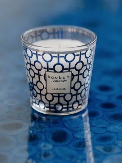 Vela My First Baobab Gentlemen - pino_y_jacaranda