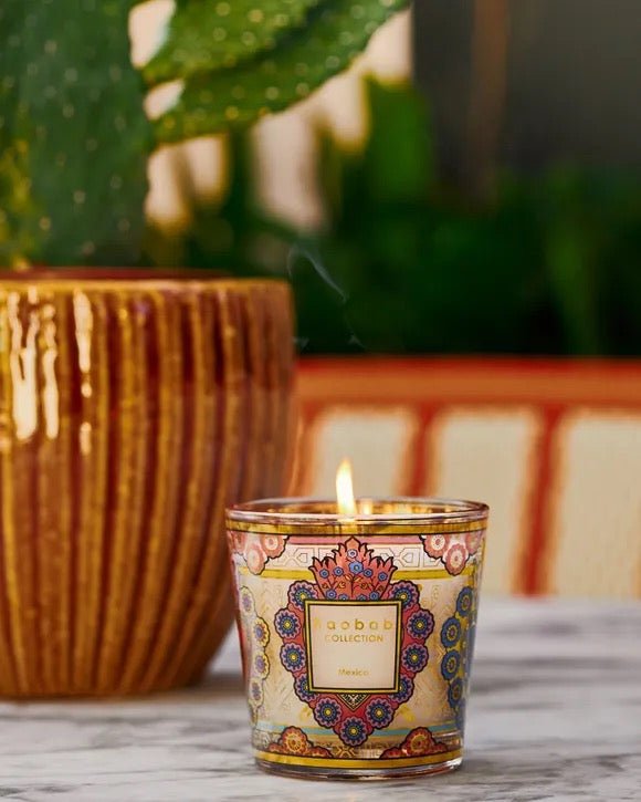 Vela My First Baobab México - pino_y_jacaranda