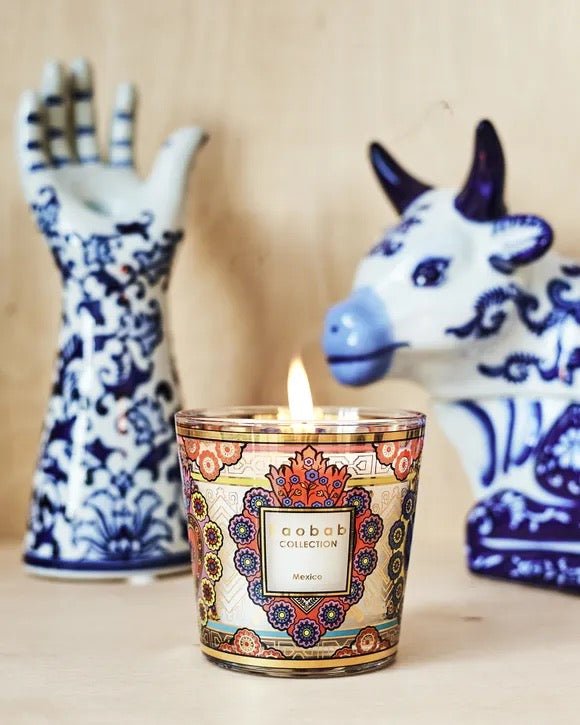 Vela My First Baobab México - pino_y_jacaranda