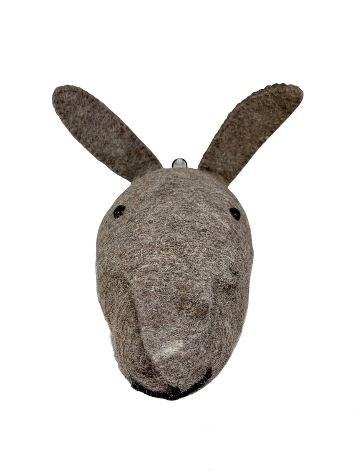 Conejo de Pared - #pino_y_jacaranda#