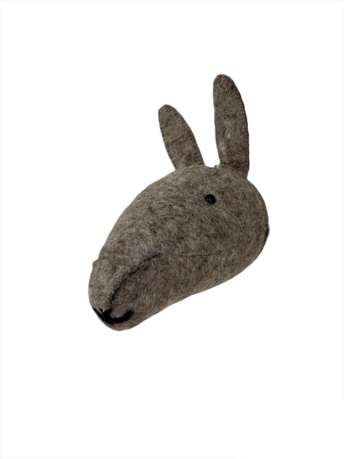 Conejo de Pared - #pino_y_jacaranda#