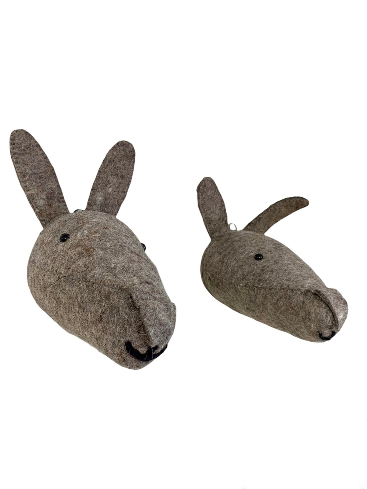 Conejo de Pared - #pino_y_jacaranda#