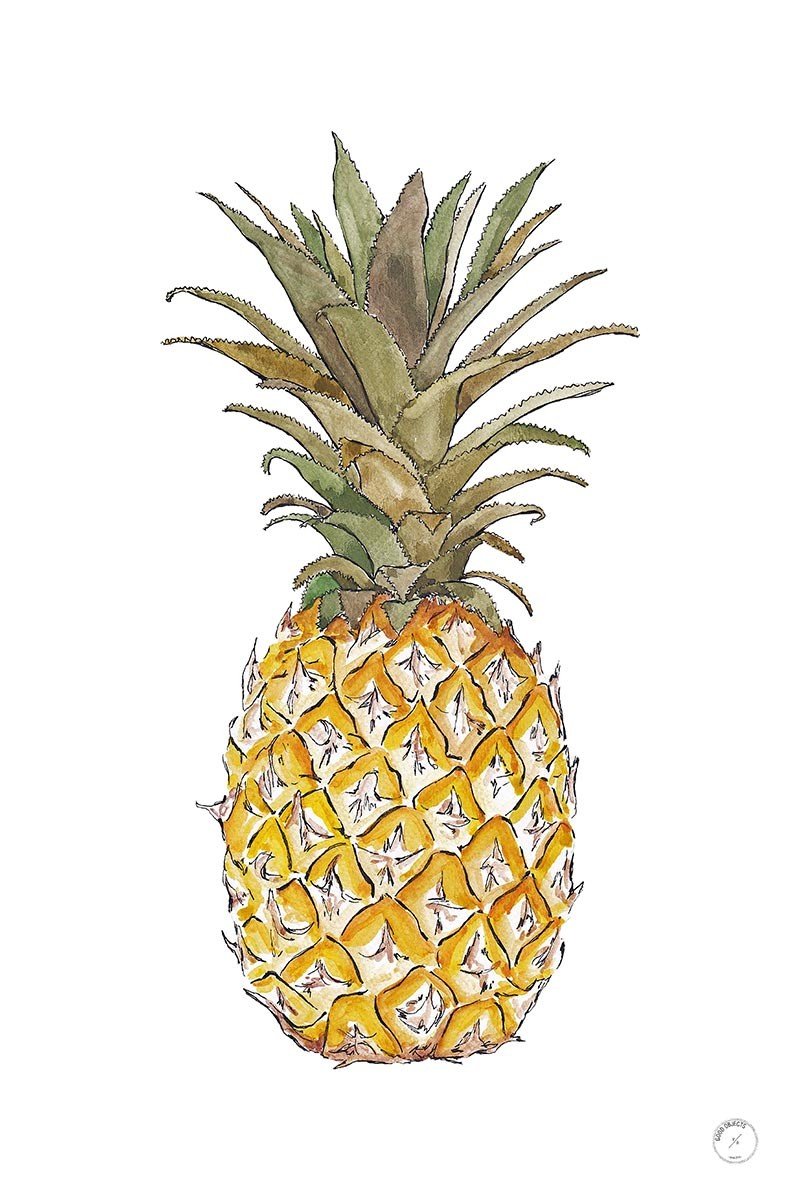Cuadro y Lámina Piña Ananas - #pino_y_jacaranda#