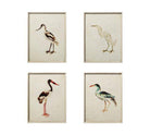 Cuadros Pájaros - #pino_y_jacaranda#