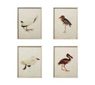 Cuadros Pájaros - #pino_y_jacaranda#
