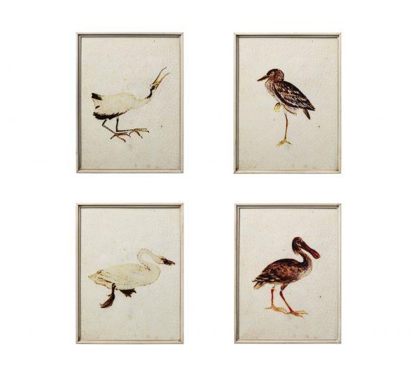 Cuadros Pájaros - #pino_y_jacaranda#