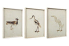 Cuadros Pájaros - #pino_y_jacaranda#