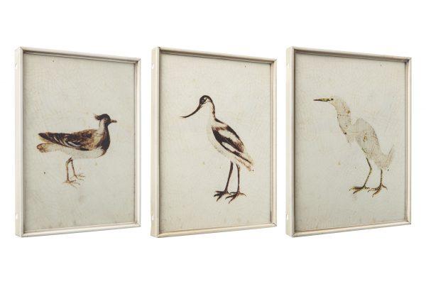 Cuadros Pájaros - #pino_y_jacaranda#