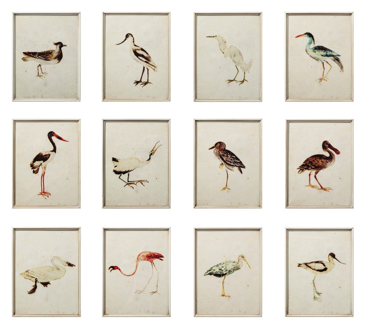 Cuadros Pájaros - #pino_y_jacaranda#