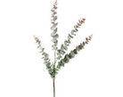 Eucalipto Verde Oscuro - #pino_y_jacaranda#