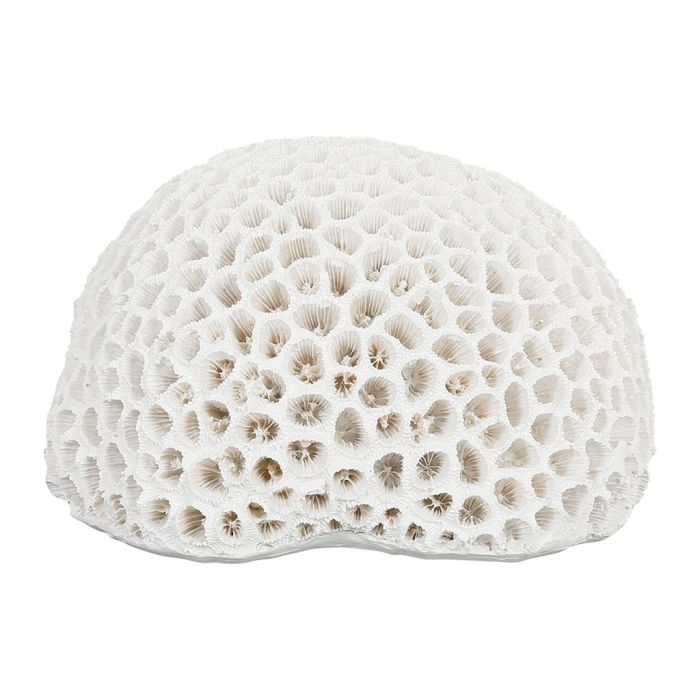 Figura Decorativa Coral Blanco - #pino_y_jacaranda#