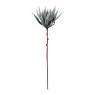 Flor de Atimia - #pino_y_jacaranda#