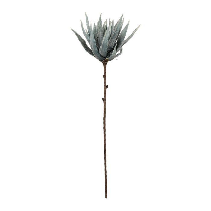 Flor de Atimia - #pino_y_jacaranda#