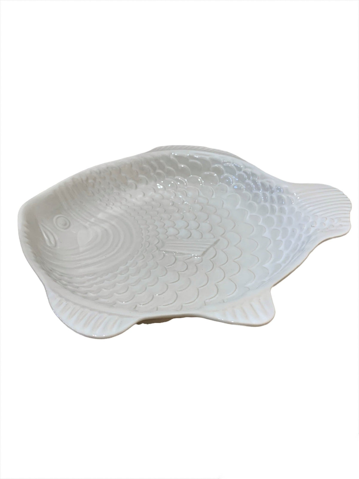 Fuente Fish - #pino_y_jacaranda#