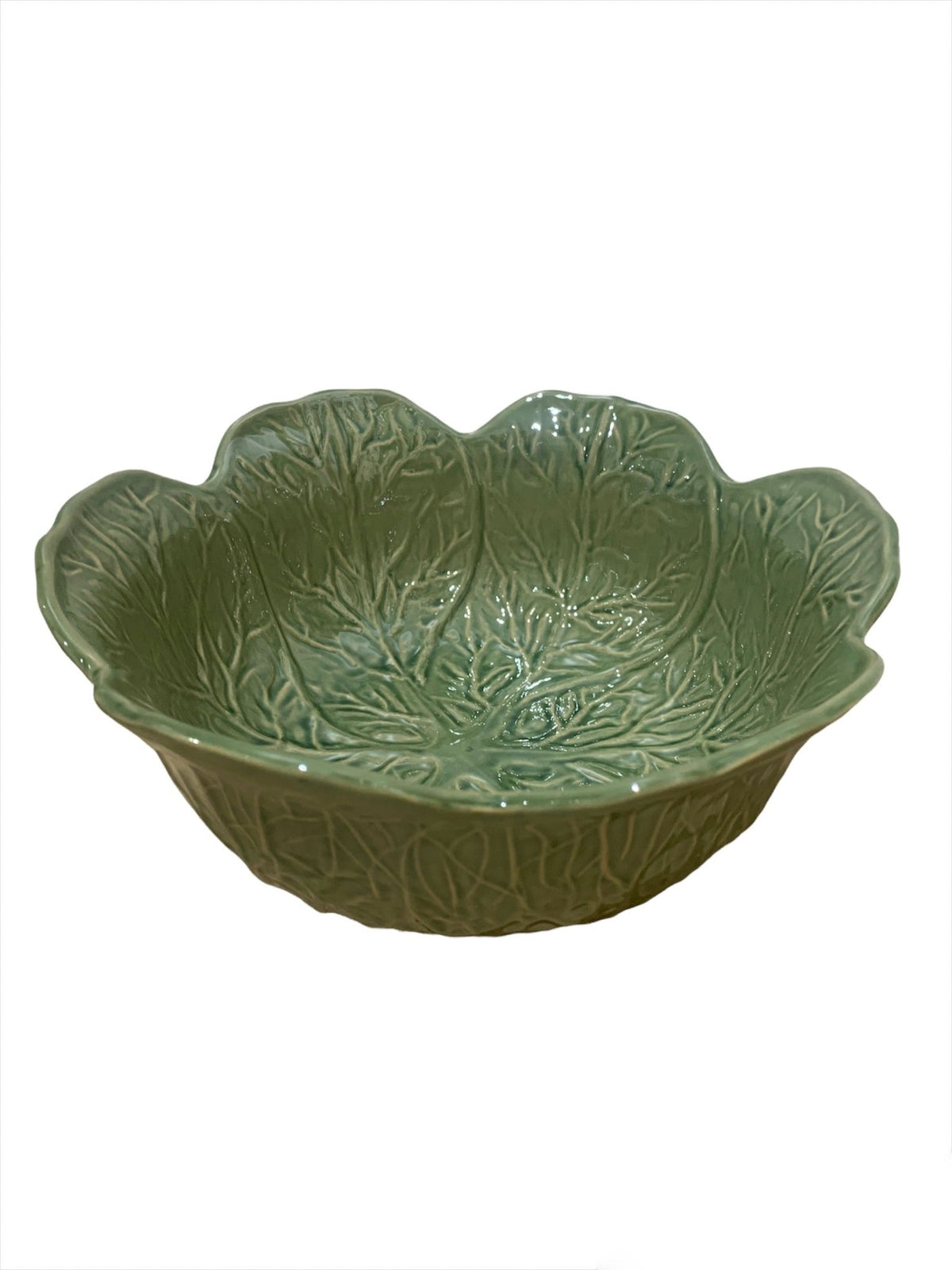 Fuente Lechuga - #pino_y_jacaranda#