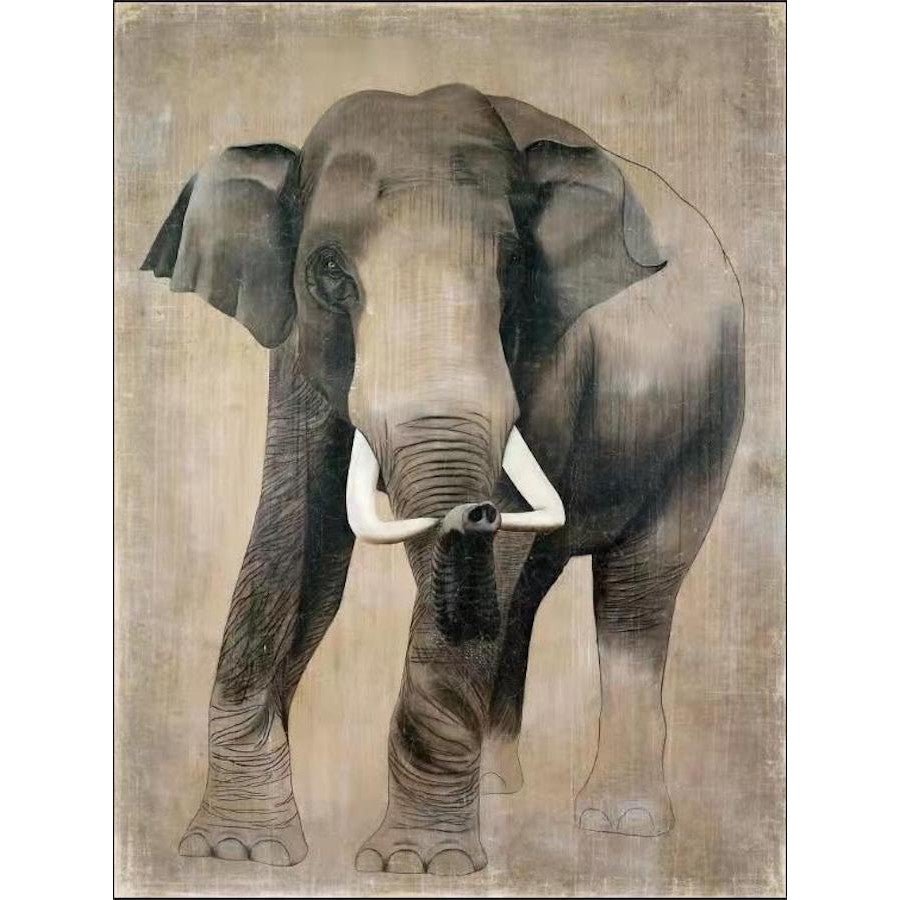 Mural de Papel Froissé Elefante - #pino_y_jacaranda#