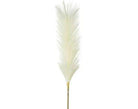 Plumas - #pino_y_jacaranda#