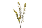 Rama de Eucalipto Amarillo - #pino_y_jacaranda#