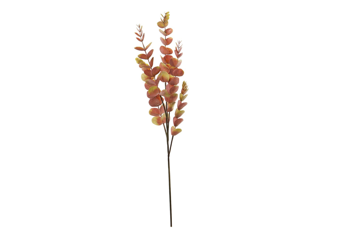 Rama de Eucalipto Bicolor - #pino_y_jacaranda#