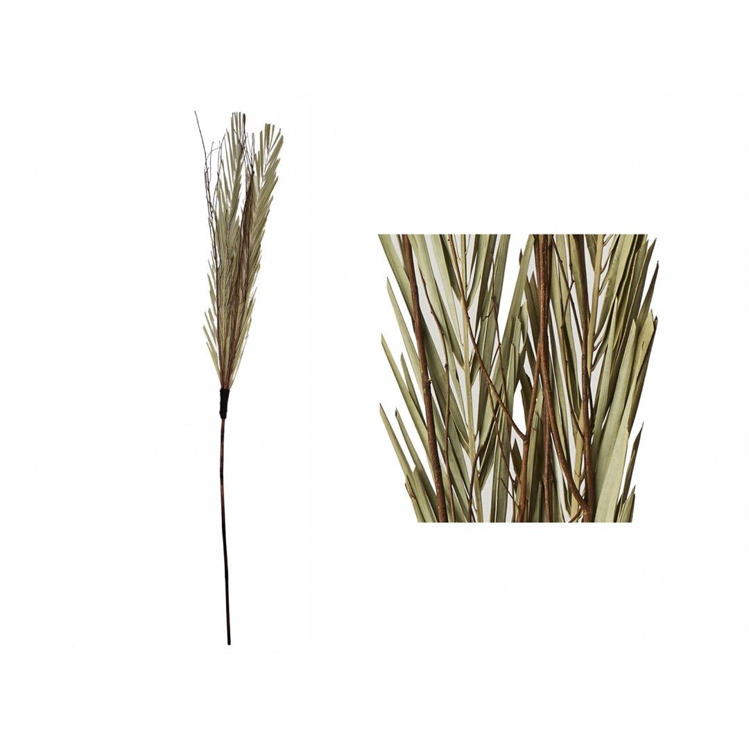Rama Palmera - #pino_y_jacaranda#
