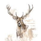Set de Servilletas Ciervo - #pino_y_jacaranda#