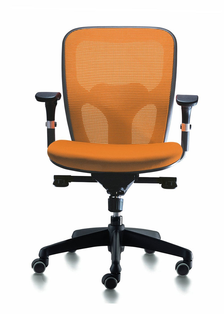 Sillón de Dirección Euromof Boston Sin Cabecero - #pino_y_jacaranda#