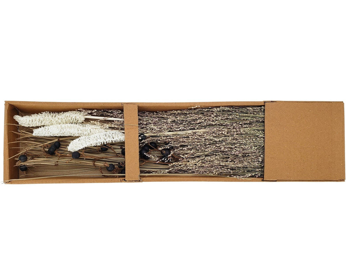 Surtido Variado Ramas de Luffa - #pino_y_jacaranda#