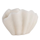 Vela Concha Blanca - #pino_y_jacaranda#