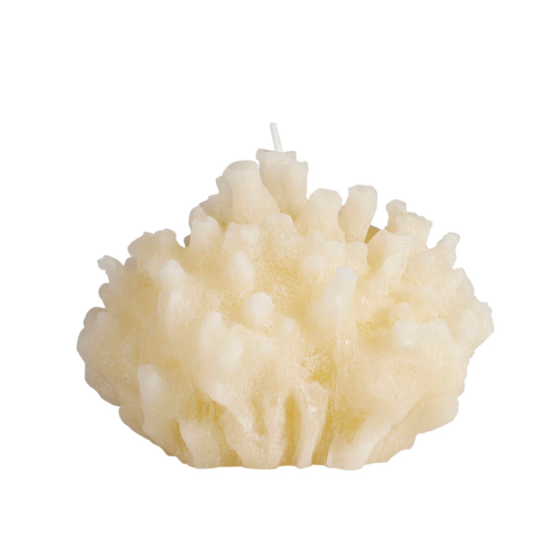 Vela Coral - #pino_y_jacaranda#