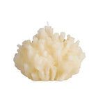 Vela Coral - #pino_y_jacaranda#