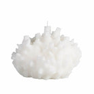 Vela Coral - #pino_y_jacaranda#