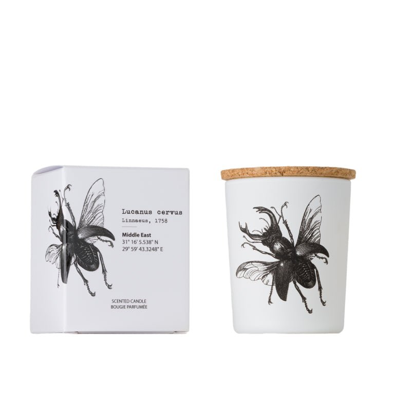 Vela Insectos Lucanus Cervus - #pino_y_jacaranda#